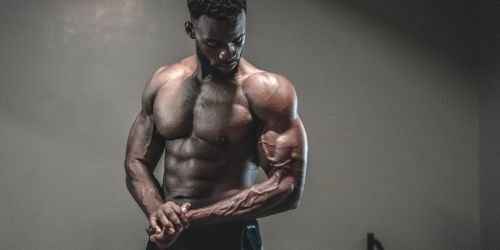 Bulls and Stags in Austin, Texas